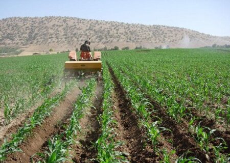 وضعیت بهره‌مندی برخی استان‌ها از ماشین‌آلات کشاورزی نامطلوب است