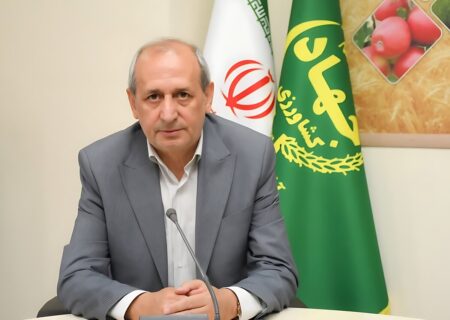 اصلاح الگوی کشت و توسعه گلخانه‌ها در اولویت جهاد کشاورزی/ برنامه‌ریزی برای صرفه‌جویی ۱۲ میلیون مترمکعبی در مصرف آب کشاورزی