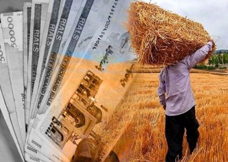 پرداخت مطالبات معوق گندم‌کاران آغاز شد