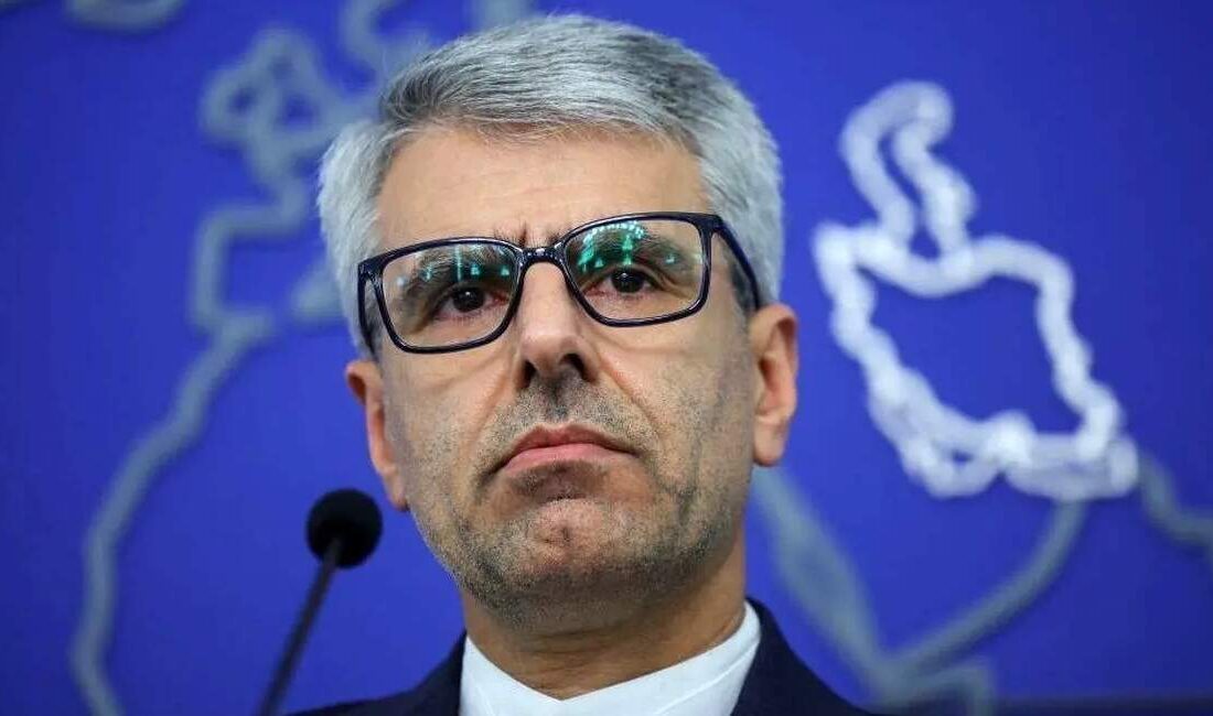 بقایی: نگران تبعات فعال شدن مکانیسم ماشه هستیم