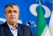 سفر به وین با دستاوردهای مهم به پایان رسید/ گامی مثبت برای ایران
