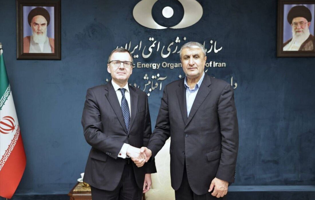 دیدار معاون بین‌الملل شرکت «روس‌اتم» با اسلامی