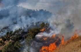 صعب‌العبور بودن منطقه و وزش باد اطفای حریق نمنق را دشوار کرده است