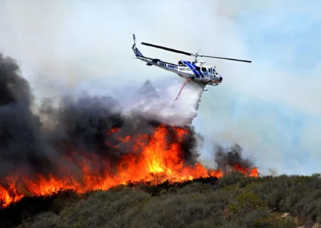 ورود ممنوع فرمانده یگان حفاظت سازمان منابع طبیعی و آبخیزداری به جنگل‌های ارسباران