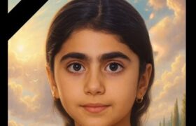 درگذشت دانش‌آموز ۱۰ ساله در گؤن‌گؤرمز؛ نگرانی‌ها از شیوع آنفلوانزا شدت گرفت