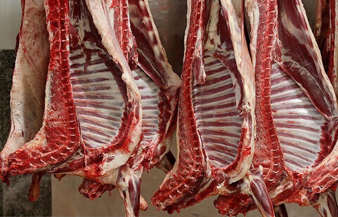 قیمت واقعی گوشت در بازار گم شده است